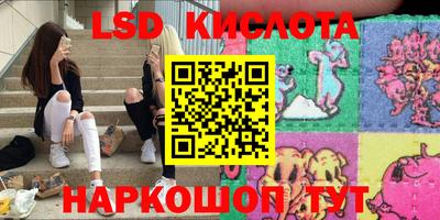 гашик Новокубанск