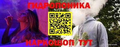 гашик Новокубанск