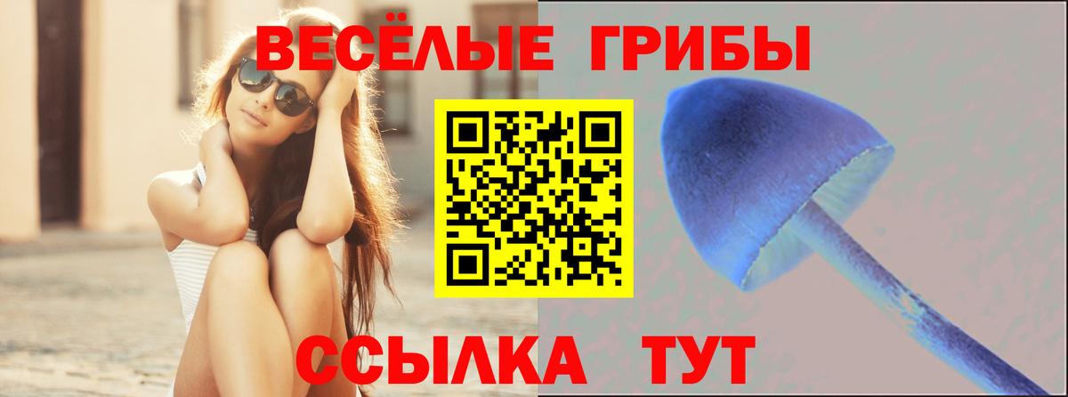Псилоцибиновые грибы MAGIC MUSHROOMS Троицк